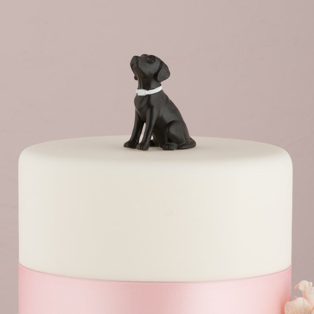 5.75 Birthday Babe Cake Topper - Darling, Acrylic or Wood